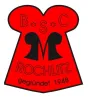 BSC Motor Rochlitz II