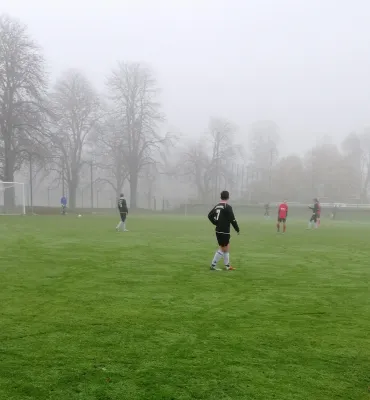 09.11.2019 SV Fortuna Langenau vs. VfB Halsbrücke