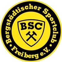 BSC Freiberg IV