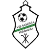 VfB Saxonia Halsbrücke II