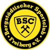 BSC Freiberg III