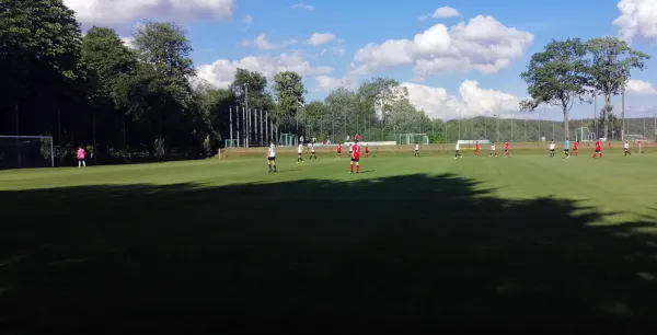 01.07.2020 SV Fortuna Langenau vs. VfB Halsbrücke