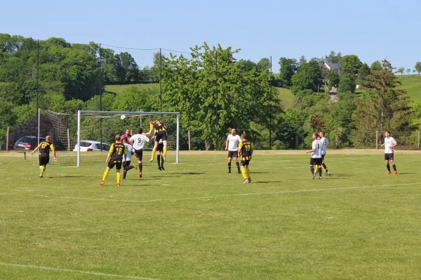 04.06.2023 Bobritzscher SV vs. VfB Halsbrücke