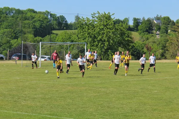 04.06.2023 Bobritzscher SV vs. VfB Halsbrücke