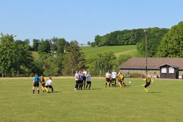 04.06.2023 Bobritzscher SV vs. VfB Halsbrücke