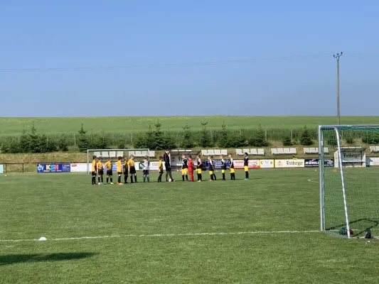 10.06.2023 Bobritzscher SV II vs. VfB Halsbrücke II