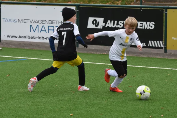 11.11.2023 VfB Halsbrücke II vs. BSC Freiberg II