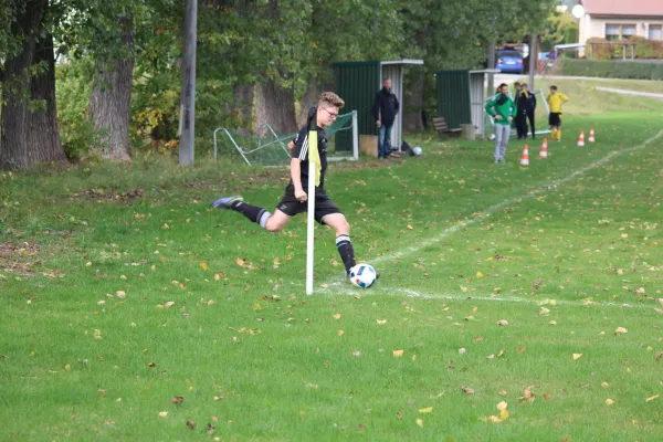 15.10.2016 Langenleuba-Oberhain vs. VfB Halsbrücke