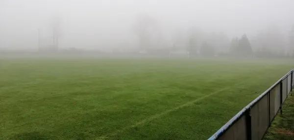 09.11.2019 SV Fortuna Langenau vs. VfB Halsbrücke