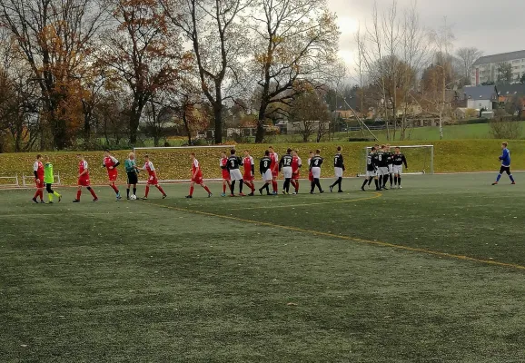 23.11.2019 FSV Brand-Erbisdorf vs. VfB Halsbrücke