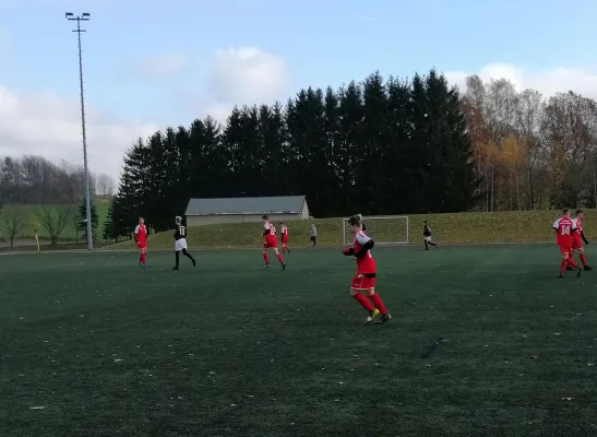 23.11.2019 FSV Brand-Erbisdorf vs. VfB Halsbrücke