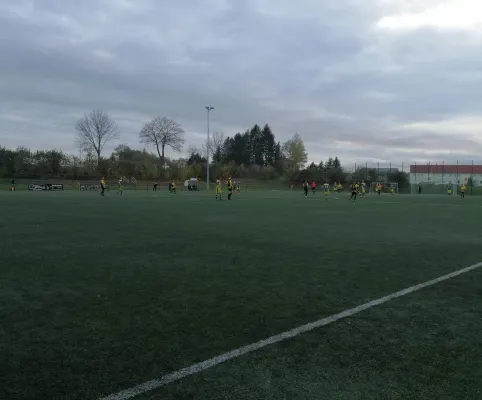 03.11.2019 SpG Halsbrücke/CSV vs. TuS Voigtsdorf 1907