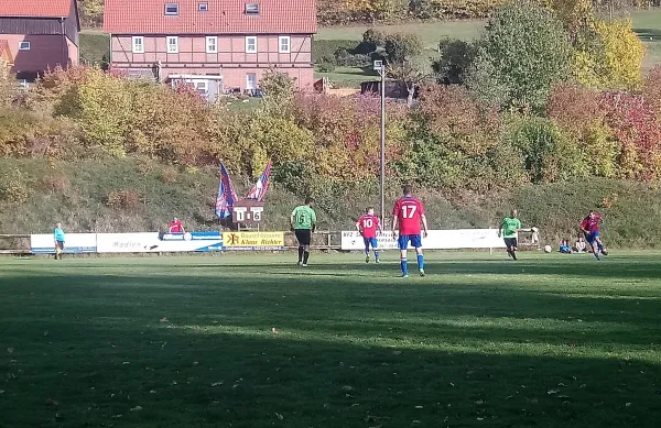 13.10.2019 SpG Niedersaida vs. SpG Halsbrücke/CSV